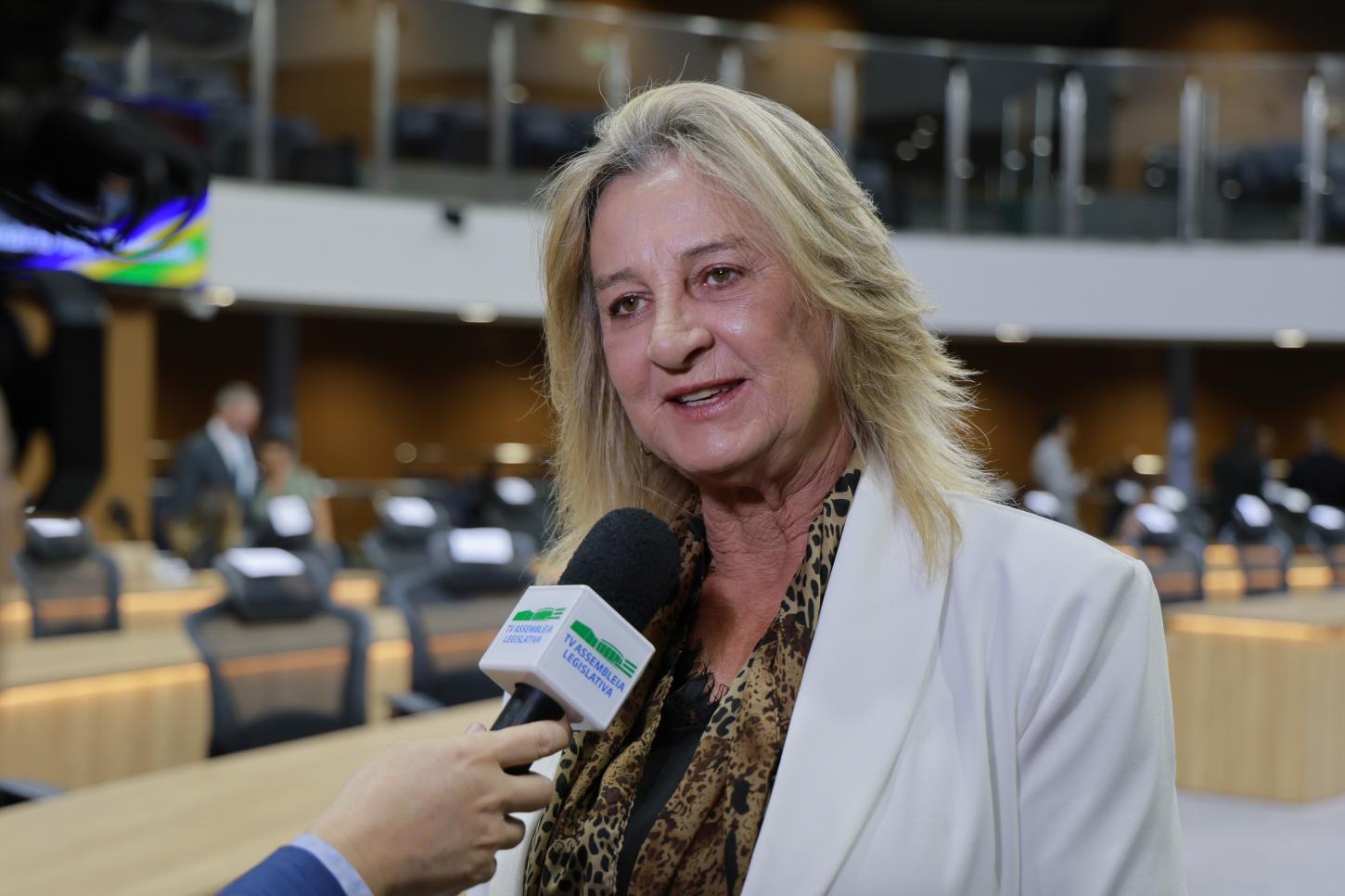 Zeli Fritsche: atuação parlamentar, força regional e o recado das urnas em 2026